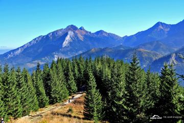 Rusinowa Polana Gęsia Szyja - szczyty - szczyt - Tatry