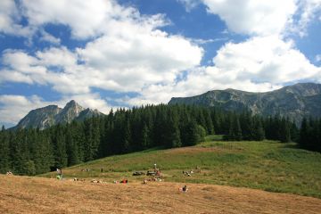Przysłop Miętusi Dolina Miętusia - doliny - dolina - Tatry