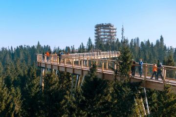 Spacer w koronach drzew z biurem Trio Travel - jednodniowe - wycieczka na ścieżkę w koronach drzew - Zakopane