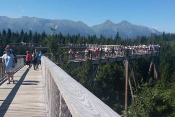 Spacer w koronach drzew i Tricklandia z biurem Strama - jednodniowe - wycieczka na ścieżkę w koronach drzew - Zakopane