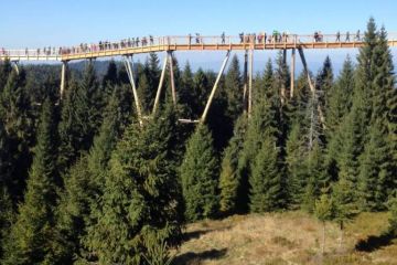 Spacer w koronach drzew i Tricklandia z biurem Strama - jednodniowe - wycieczka na ścieżkę w koronach drzew - Zakopane