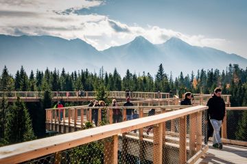 Spacer w koronach drzew Pomian Travel - jednodniowe - wycieczka na ścieżkę w koronach drzew - Zakopane