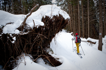 Skitourowe Zakopane. Trasa z Kuźnic przez Boczań Na Halę Gąsienicową Trasa skitourowa z Kuźnic na Halę Gąsienicową - narty - skitourowe zakopane - Zakopane