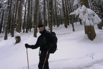Skitourowe Zakopane. Trasa z Doliny Małej Łąki przez Przysłop Miętusi na Wyżnie Stanikowe Siodło Trasa skitourowa z Doliny Małej Łąki na Wyżnie Stanikowe Siodło - narty - skitourowe zakopane - Kościelisko