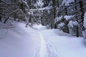 Trasa skitourowa z Doliny Strążyskiej Na Przełęcz w Grzybowcu - narty - skitourowe zakopane - Zakopane