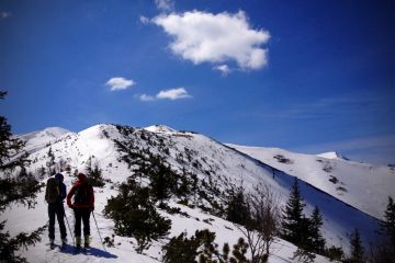 Skitourowe Zakopane Trasa z Doliny Chochołowskiej przez Trzydniowiański Wierch i Jarząbczy Wierch na Wołowiec Trasa skitourowa z Dol. Chochołowskiej na Wołowiec 2 - narty - skitourowe zakopane - Witów