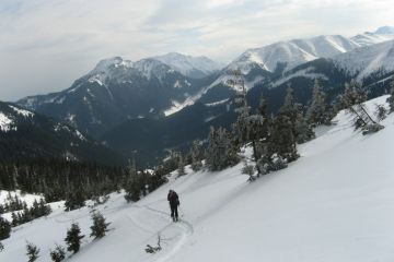 Skitourowe Zakopane Trasa z Doliny Chochołowskiej przez Grzesia, Rakoń na Wołowiec Trasa skitourowa z Dol. Chochołowskiej na Wołowiec - narty - skitourowe zakopane - Witów
