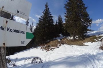 Trasa skitourowa z Toporowej Cyrhli przez Wielki Kopieniec na Nosalową Przełęcz - narty - skitourowe zakopane - Zakopane