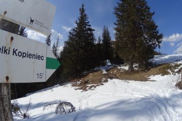 Skitourowe Zakopane. Trasa skitourowa Z Toporowej Cyrhli przez Wielki Kopieniec na Nosalową Przełęcz Trasa skitourowa z Toporowej Cyrhli przez Wielki Kopieniec na Nosalową Przełęcz - narty - skitourowe zakopane - Zakopane