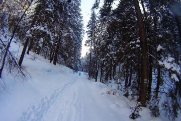 Trasa skitourowa z Doliny Małej Łąki do Doliny Tomanowej - narty - skitourowe zakopane - Kościelisko