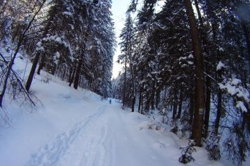 Skitourowe Zakopane. Trasa z Doliny Małej Łąki przez Dolinę Kościeliską i Miętusią do Doliny Tomanowej Trasa skitourowa z Doliny Małej Łąki do Doliny Tomanowej - narty - skitourowe zakopane - Kościelisko
