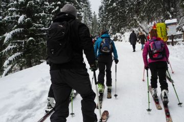 Skitourowe Zakopane. Trasa z Kuźnic przez Kalatówki na Kasprowy Wierch Trasa skitourowa z Kuźnic na Kasprowy Wierch 3 - narty - skitourowe zakopane - Zakopane