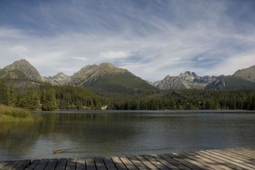 Wysokie Tatry i spacer w koronach drzew z biurem Majer - jednodniowe - wycieczka na Słowacje - Zakopane