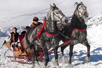 Kulig zimowy Jędruś pod Skocznią - jednodniowe - kulig zimowy - Zakopane