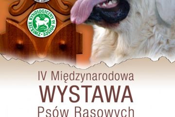 Międzynarodowa Wystawa Psów Rasowych - kultura - impreza cykliczna - Kościelisko