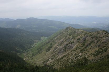 Dolina Jaworzynki Dolina Jaworzynki