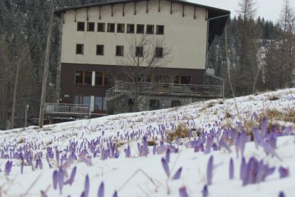 Schronisko PTTK Kalatówki Schronisko PTTK Kalatówki